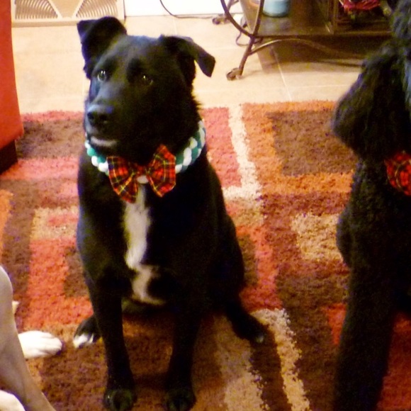 Just me - Picture 15 of 15